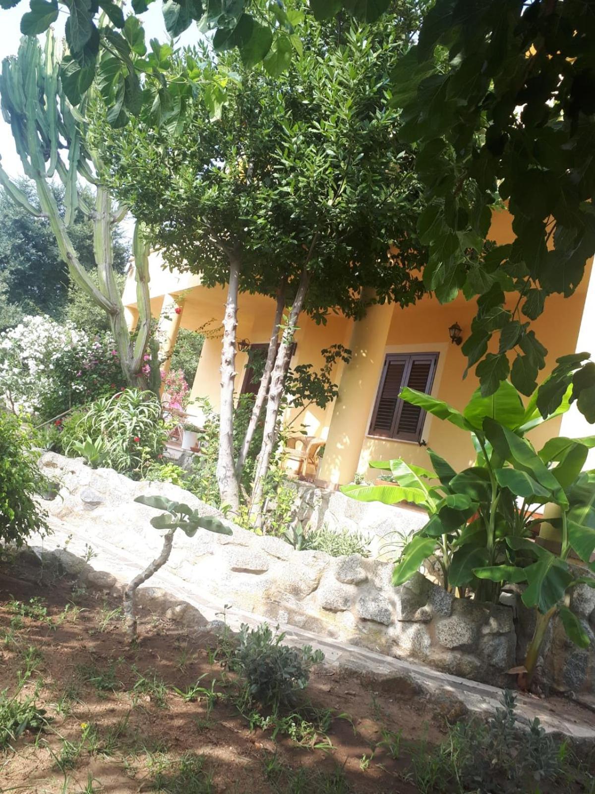 A Turri Hotel Capo Vaticano Kültér fotó